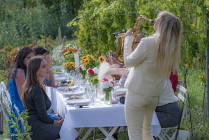 Dinner in the vineyard French Riviera