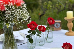 Dinner in the vineyard French Riviera