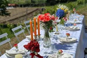 Dinner in the vineyard French Riviera