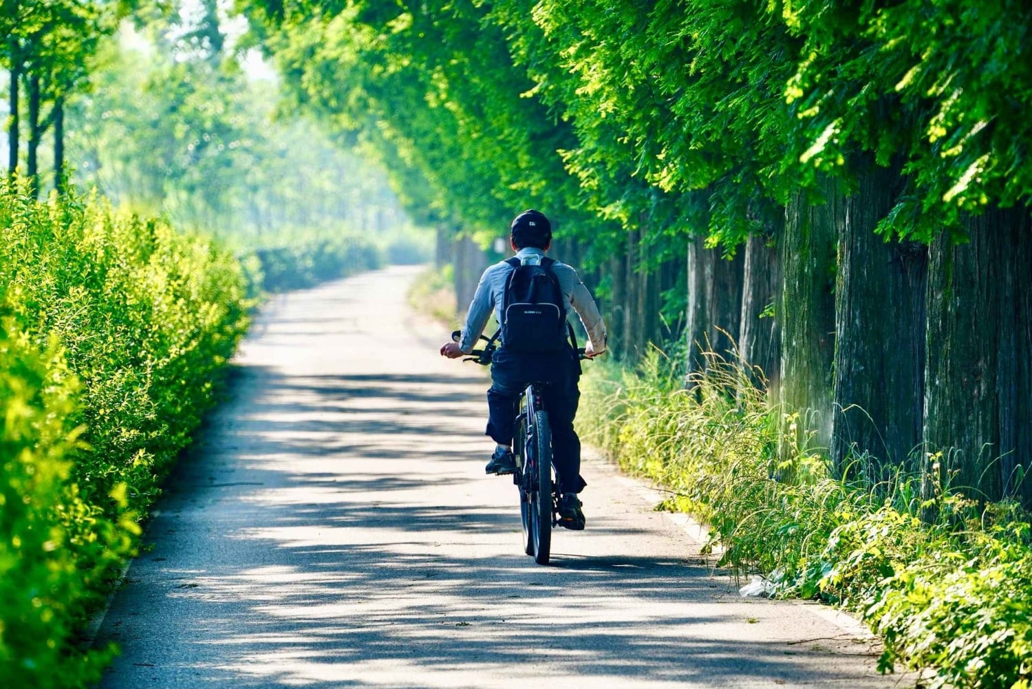 E-Bike Tour from Ventimiglia: Dolceacqua & Rocchetta Rivers