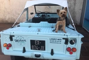 Electric Mehari Ride & Discovery of the Villa Ephrussi de Rothschild