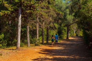 Ferry Transfer to Sainte Marguerite Island from Nice