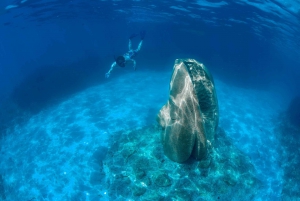 Ferry Transfer to Sainte Marguerite Island from Nice