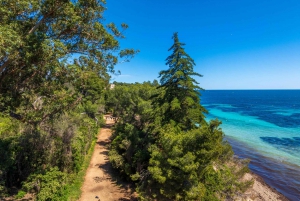 Ferry Transfer to Sainte Marguerite Island from Nice