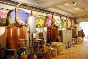 Flavor & Taste of Provence