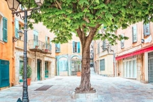 French Riviera and Provence Private Day Trip