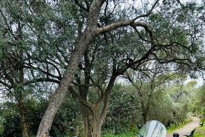 French Riviera City Tour by Sidecar