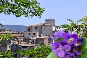 French Riviera: Countryside Half-Day Tour from Nice