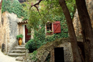 French Riviera: Countryside Half-Day Tour from Nice