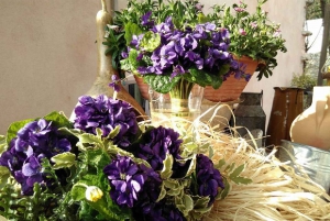 French Riviera: Countryside Half-Day Tour from Nice