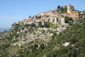 French Riviera Full-Day Private Tour