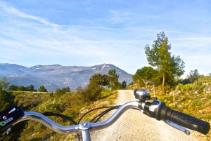 French Riviera Grand panoramic E-bike Tour From Nice