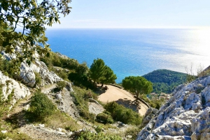 French Riviera Grand panoramic E-bike Tour From Nice