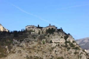 French Riviera: Half-Day Private Tour and Transfer