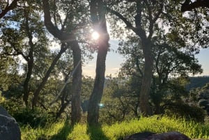 French Riviera : highlights & off the beaten path