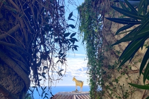 French Riviera : highlights & off the beaten path