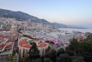 Nice/Cannes/Antibes: Private Monaco & Eze Tour