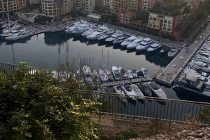 Nice/Cannes/Antibes: Private Monaco & Eze Tour