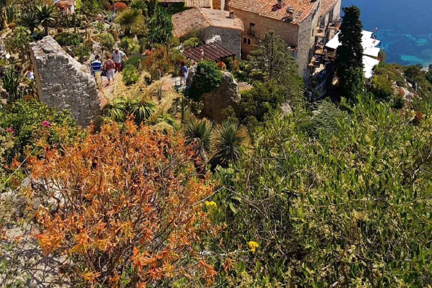 From Nice & Antibes: Monaco & Eze Tour with Hotel Pickup