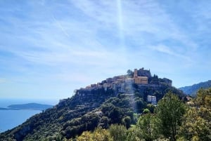 From Nice & Antibes: Monaco & Eze Tour with Hotel Pickup