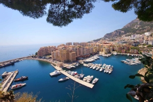 From Nice & Antibes: Monaco & Eze Tour with Hotel Pickup