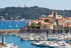 From Nice: Cannes, Saint Paul de Vence & Antibes Guided Tour