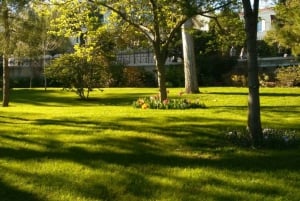 From Nice: Day Trip to Monte Carlo and Monaco Coast