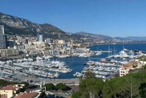From Nice: Day Trip to Monte Carlo and Monaco Coast