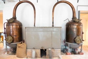 From Nice: Eze, Monaco, and Monte Carlo Half-Day Trip