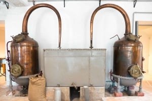 From Nice: Eze, Monaco, and Monte Carlo Half-Day Trip