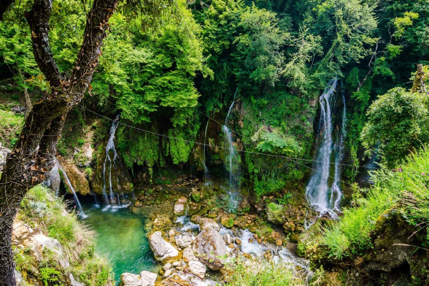 From Nice: Flower Fields & Saint Cassien Lake Full-Day Trip