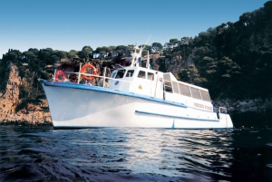 From Nice: French Riviera Swimming and Snorkeling Cruise