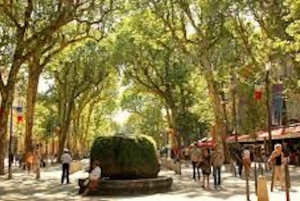 From Nice: Full-Day Provence and Lavender Tour