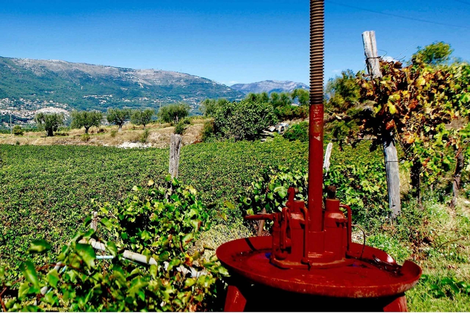 From Nice: Half-Day Wine Tour in the Bellet Wine Region