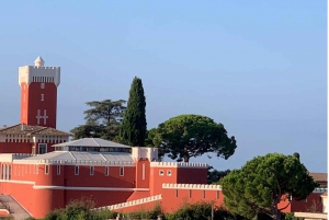 From Nice: Half-Day Wine Tour in the Bellet Wine Region