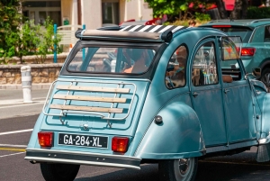 From Nice; Monaco and Eze Sightseeing Private Half-Day Trip