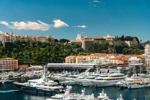 From Nice; Monaco and Eze Sightseeing Private Half-Day Trip