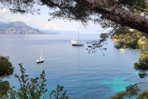 From Nice: Monaco & Eze Guided Tour in Electric Convertible