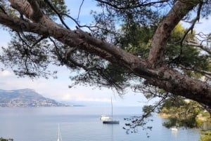 From Nice: Monaco & Eze Guided Tour in Electric Convertible