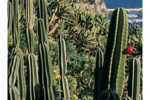 From Nice: Monaco, Monte Carlo & Eze Full-Day Tour