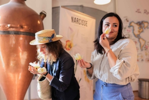 From Nice: Nice, Grasse and Saint-Paul-de-Vence Day Trip