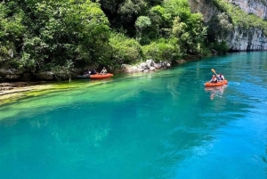 From Nice or Cannes: Provence Lavender Fields & Verdon Tour