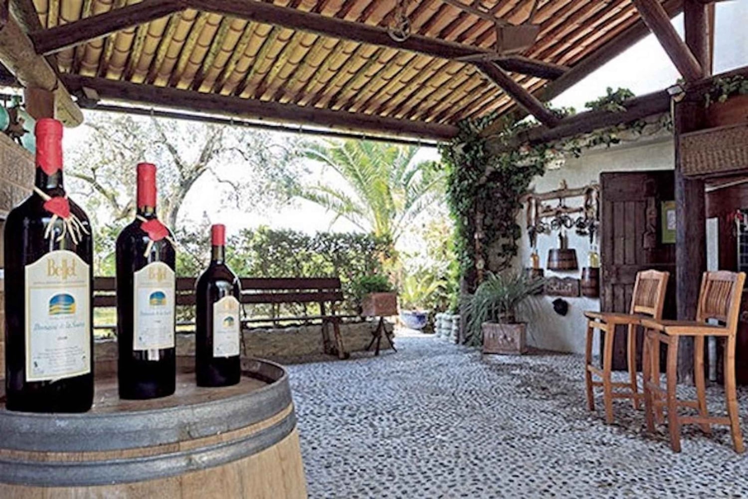 From Nice: Private Bellet Wine Tasting Day Trip