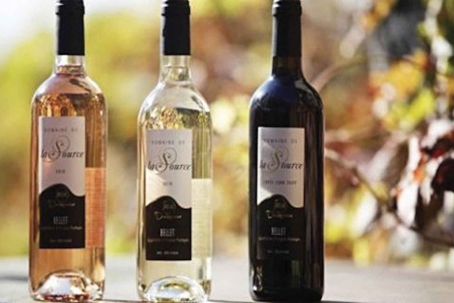 From Nice: Private Bellet Wine Tasting Day Trip