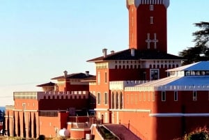 From Nice: Private Bellet Wine Tasting Day Trip