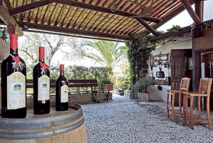 From Nice: Private Bellet Wine Tasting Day Trip