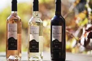 From Nice: Private Bellet Wine Tasting Day Trip