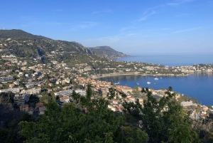 From Nice: Private Monaco and Coastline Highlights Car Tour