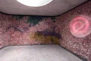 From Nice: Private Monaco and Coastline Highlights Car Tour