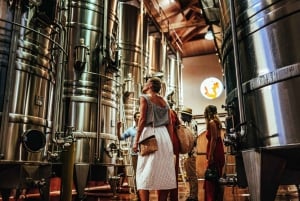 From Nice: Provence Wine Full-Day Tour